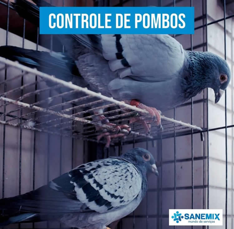 Controle de Pombos Sanemix